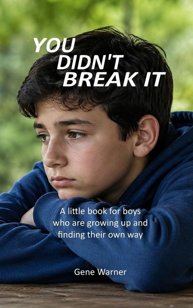 You Didn't Break It