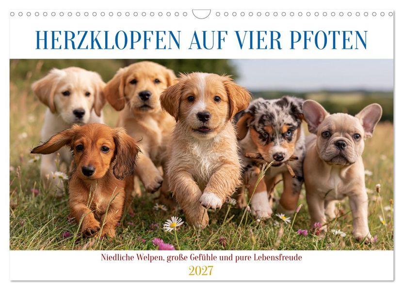 Herzklopfen auf vier Pfoden (Wandkalender 2027 DIN A3 quer) CALVENDO Monatskalender