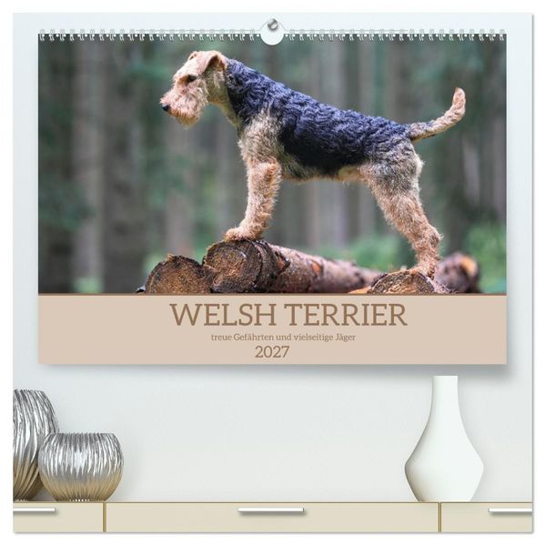 Welsh Terrier - treue Gefährten und vielseitige Jäger (hochwertiger Premium Wandkalender 2027 DIN A2 quer) Kunstdruck in Hochglanz