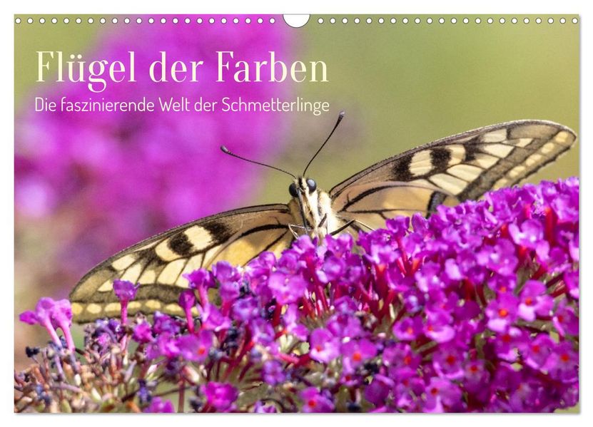 Flügel der Farben - Die faszinierende Welt der Schmetterlinge (Wandkalender 2027 DIN A3 quer) CALVENDO Monatskalender