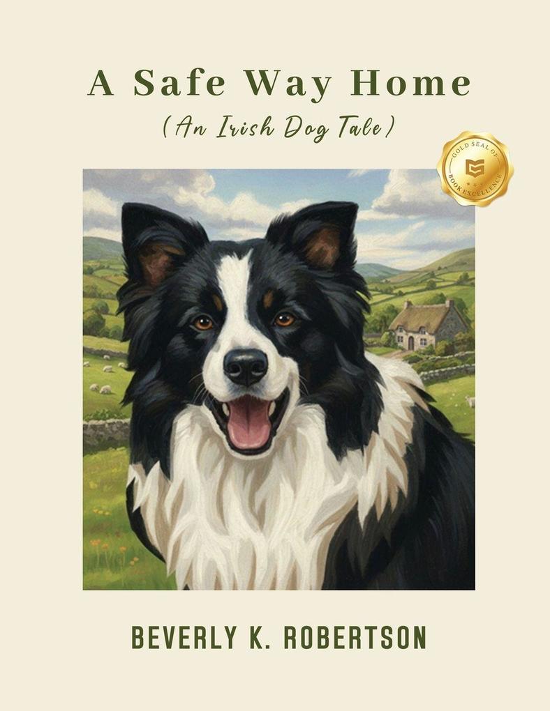 A Safe Way Home