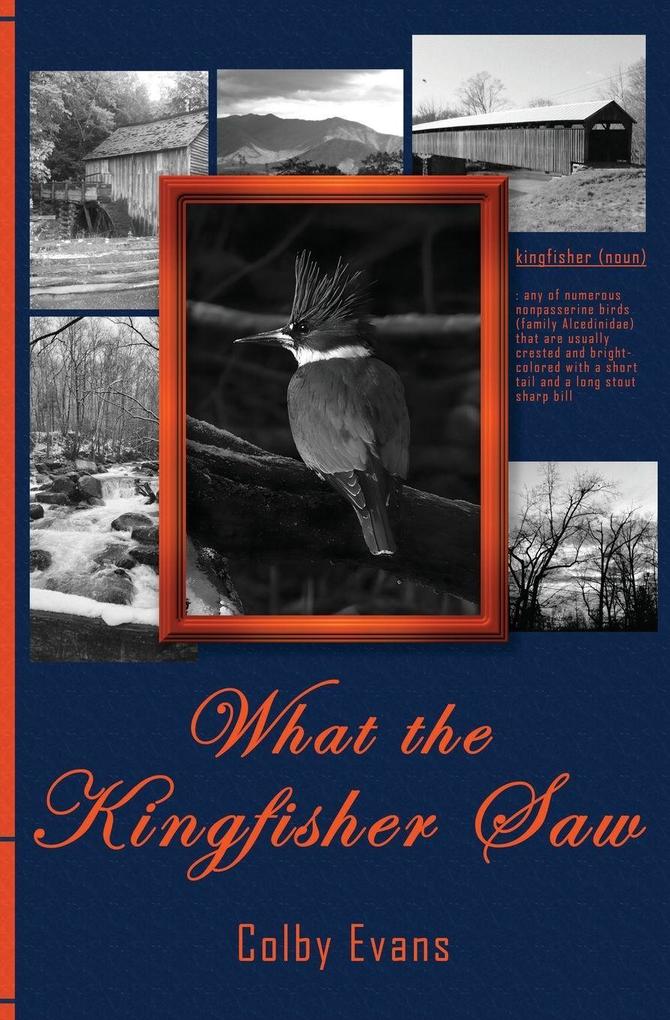 What the Kingfisher Saw