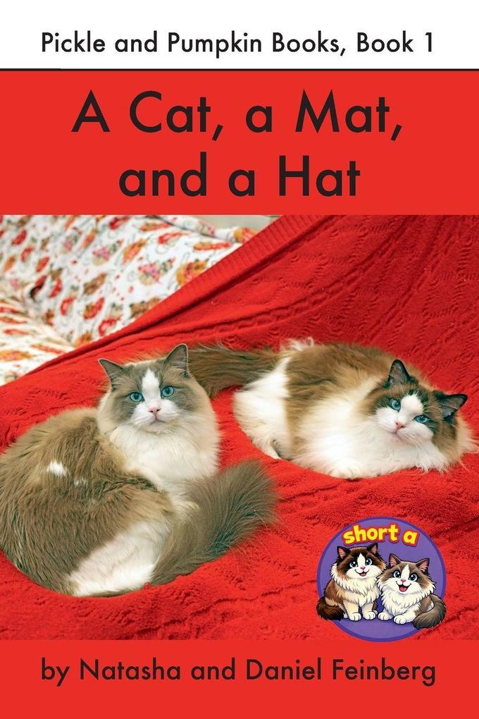 A Cat a Mat and a Hat