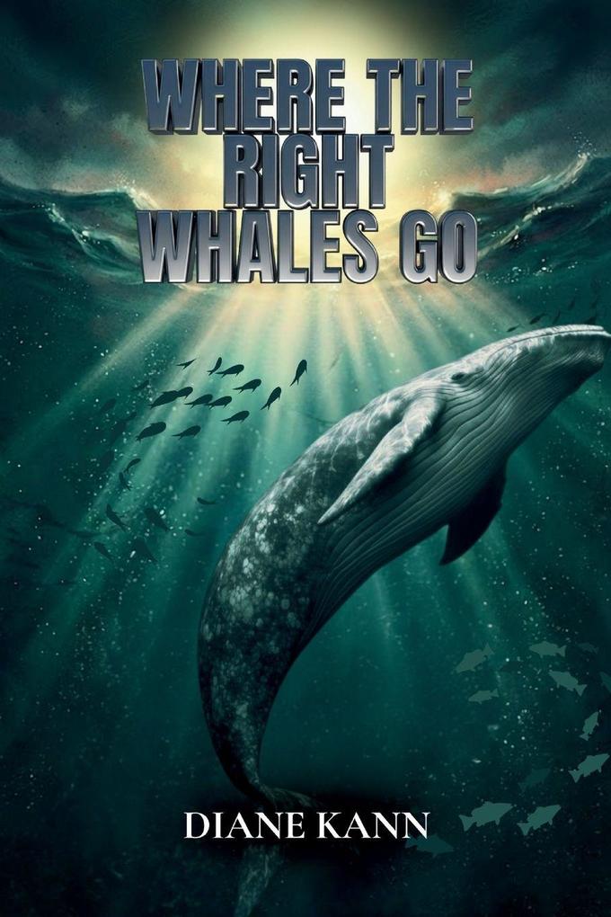 Where the Right Whales Go
