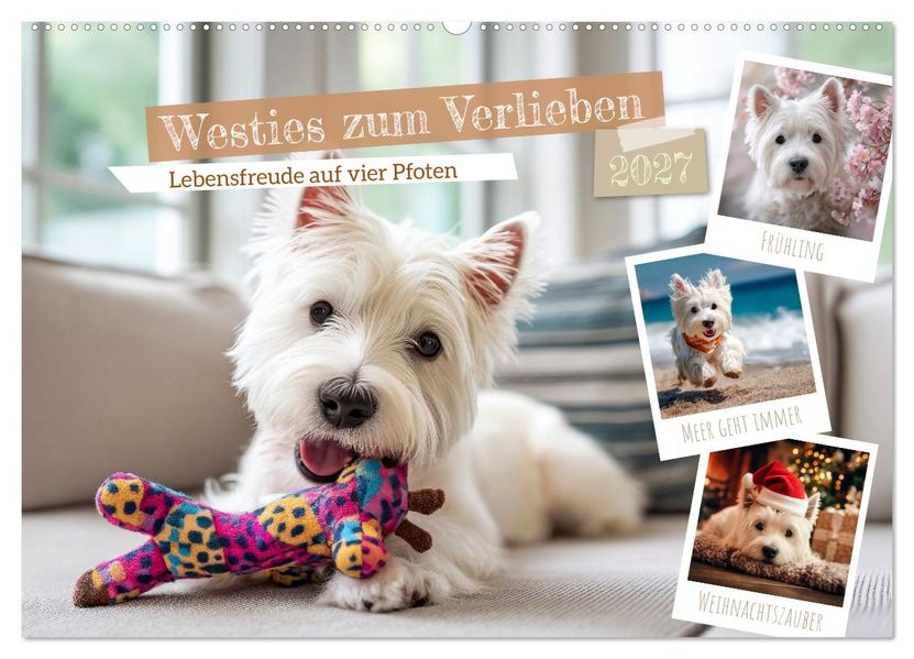 Westies zum Verlieben (Wandkalender 2027 DIN A2 quer) CALVENDO Monatskalender