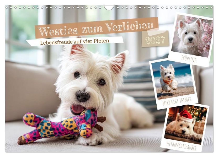 Westies zum Verlieben (Wandkalender 2027 DIN A3 quer) CALVENDO Monatskalender