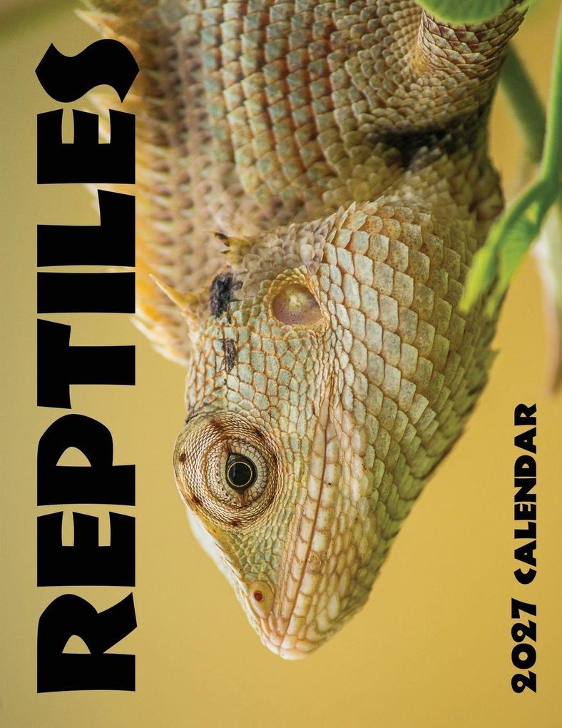 Reptiles 2027 Calendar