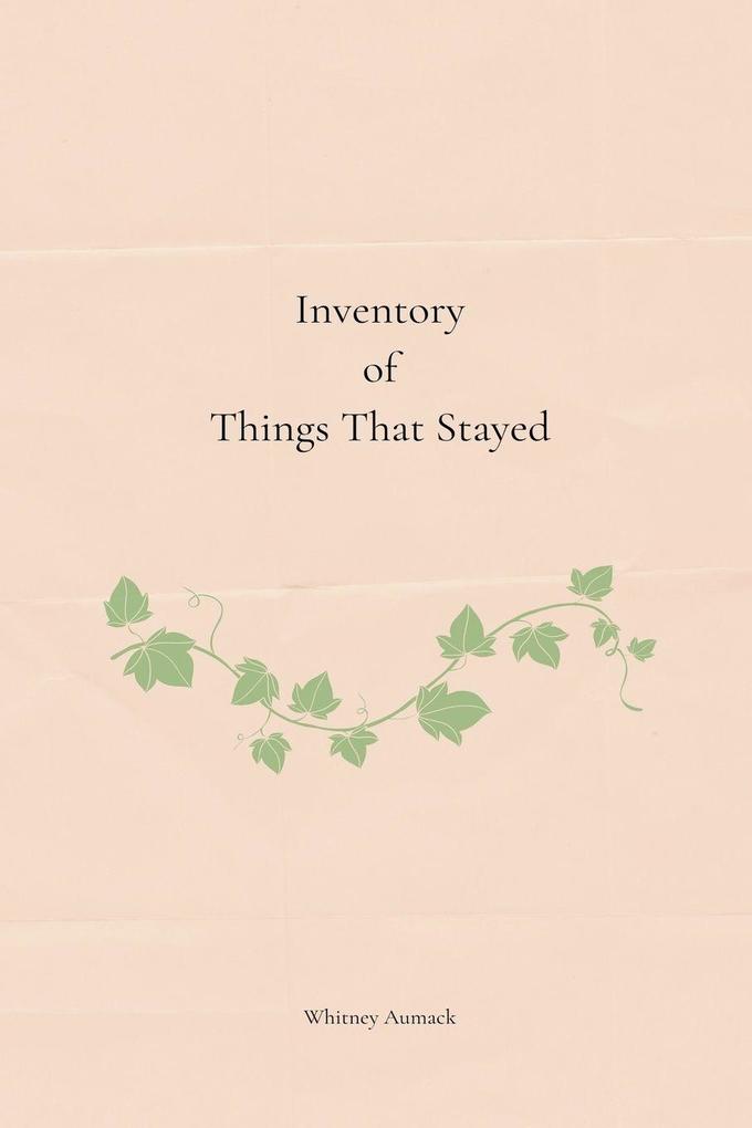 Inventory of Things That Stayed