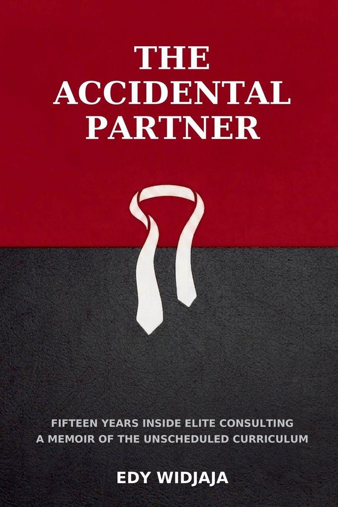 THE ACCIDENTAL PARTNER