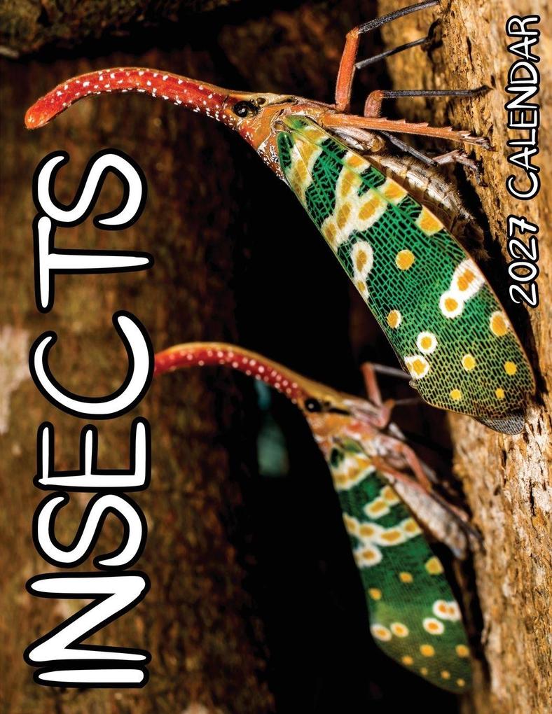 Insects 2027 Calendar