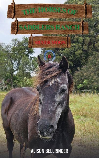 The Horses of Saddlers Ranch