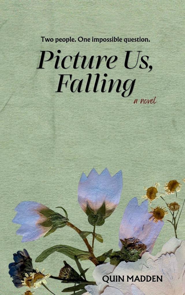 Picture Us Falling