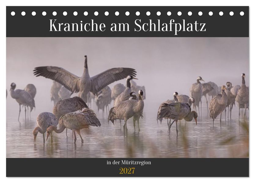 Kraniche am Schlafplatz in der Müritzregion (Tischkalender 2027 DIN A5 quer) CALVENDO Monatskalender