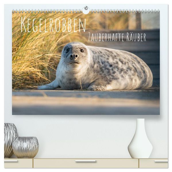 Kegelrobben Zauberhafte Räuber (hochwertiger Premium Wandkalender 2027 DIN A2 quer) Kunstdruck in Hochglanz