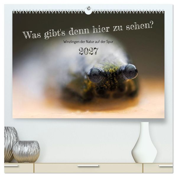 Was gibt's denn hier zu sehen? (hochwertiger Premium Wandkalender 2027 DIN A2 quer) Kunstdruck in Hochglanz