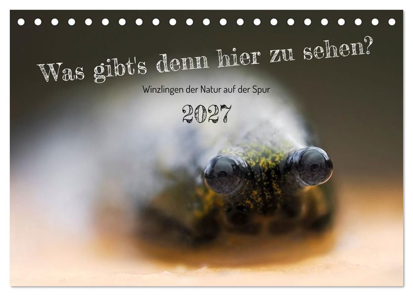 Was gibt's denn hier zu sehen? (Tischkalender 2027 DIN A5 quer) CALVENDO Monatskalender