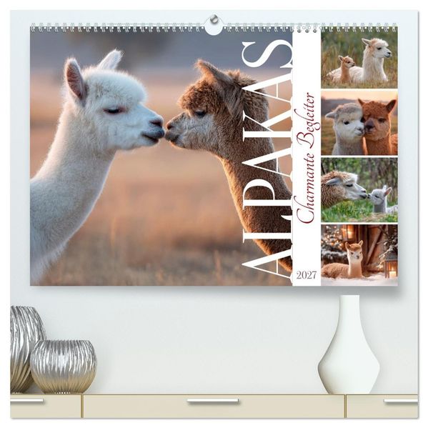 Alpakas - Charmante Begleiter (hochwertiger Premium Wandkalender 2027 DIN A2 quer) Kunstdruck in Hochglanz
