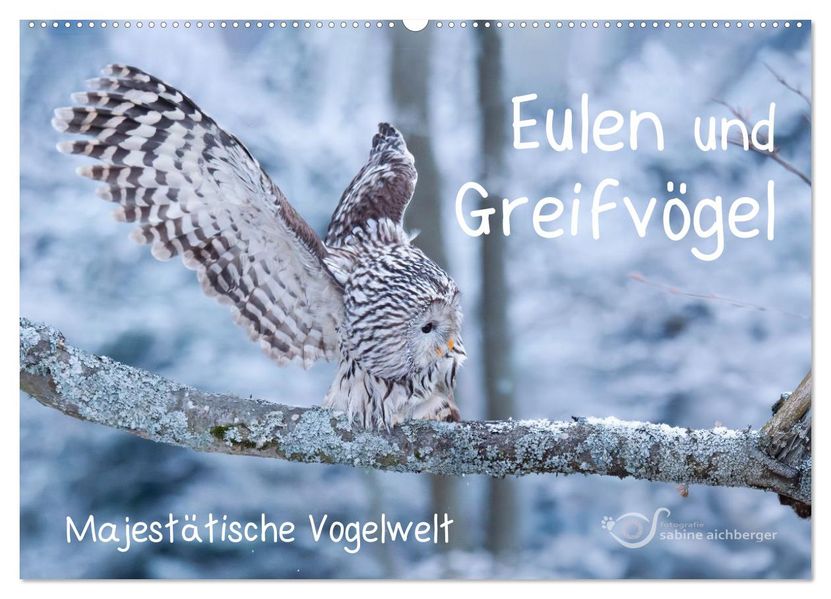 Eulen und Greifvögel - Majestätische Vogelwelt (Wandkalender 2027 DIN A2 quer) CALVENDO Monatskalender