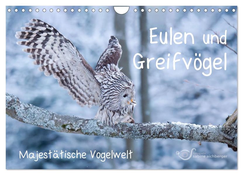 Eulen und Greifvögel - Majestätische Vogelwelt (Wandkalender 2027 DIN A4 quer) CALVENDO Monatskalender
