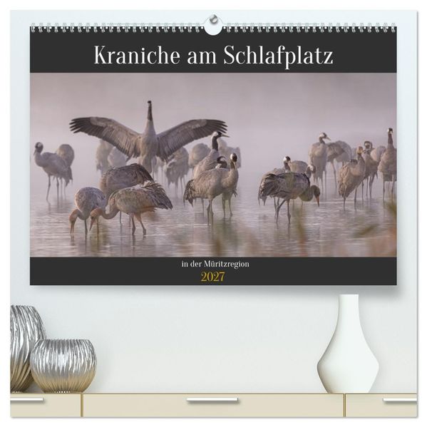 Kraniche am Schlafplatz in der Müritzregion (hochwertiger Premium Wandkalender 2027 DIN A2 quer) Kunstdruck in Hochglanz