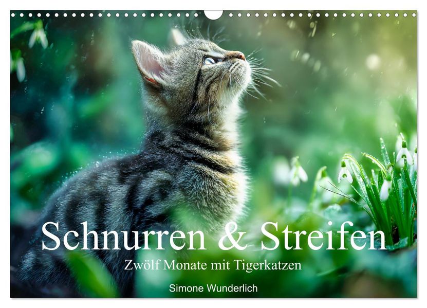 Schnurren & Streifen - Zwölf Monate mit Tigerkatzen (Wandkalender 2027 DIN A3 quer) CALVENDO Monatskalender