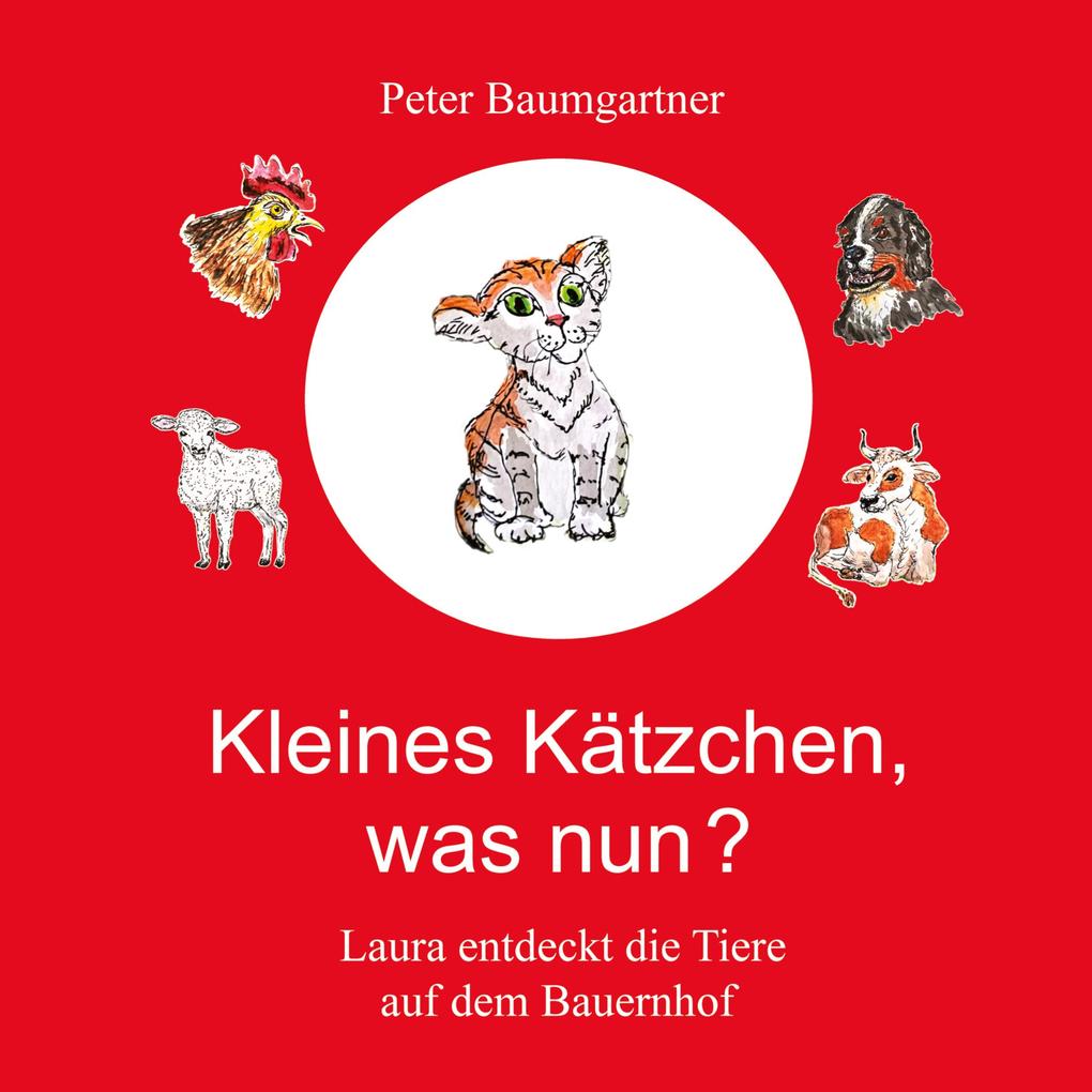 Kleines Kätzchen was nun?