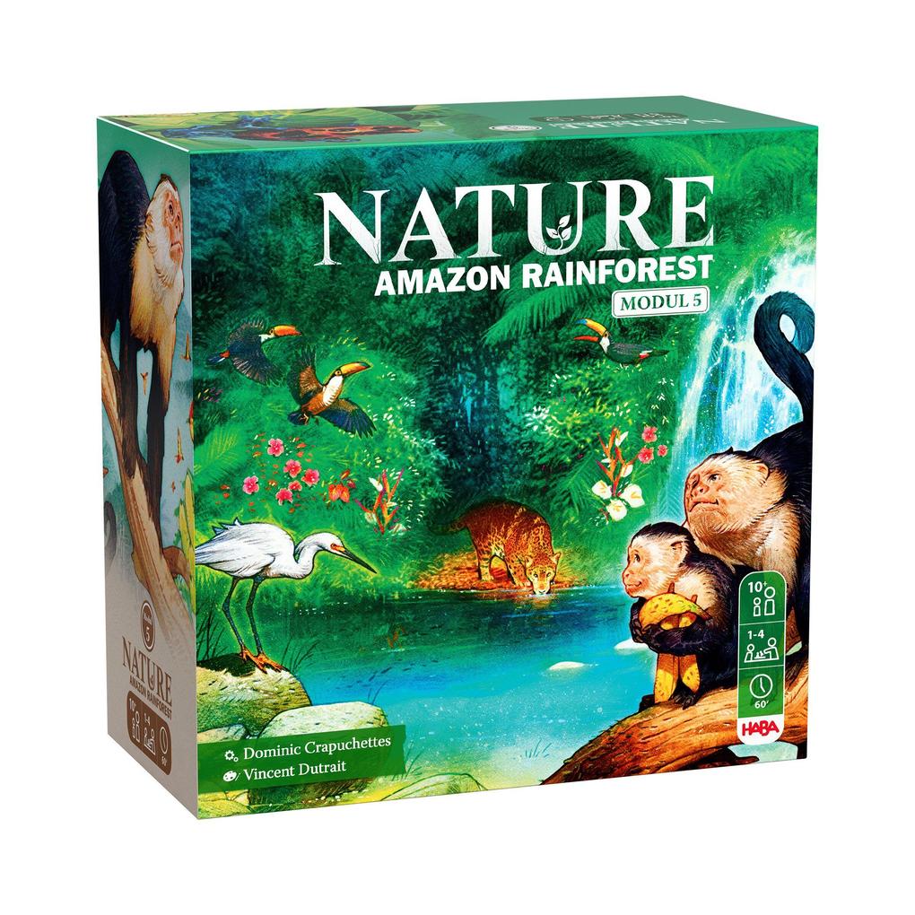 Nature Amazon Rainforest