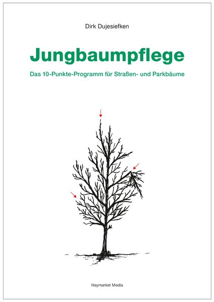 Jungbaumpflege