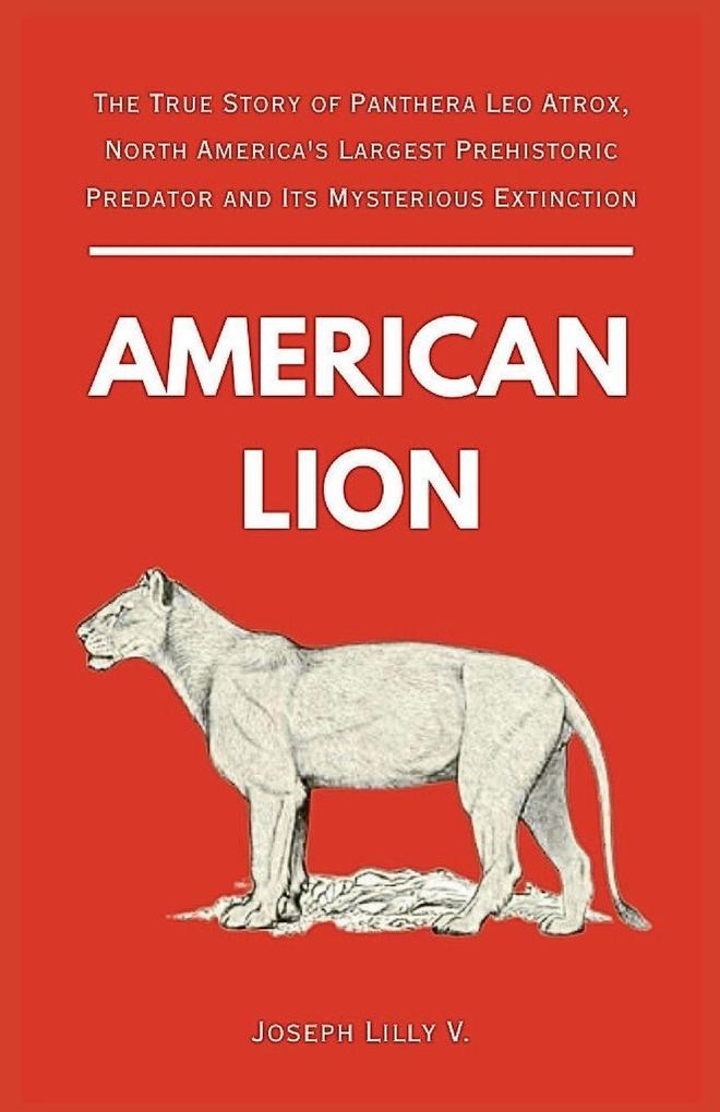 AMERICAN LION