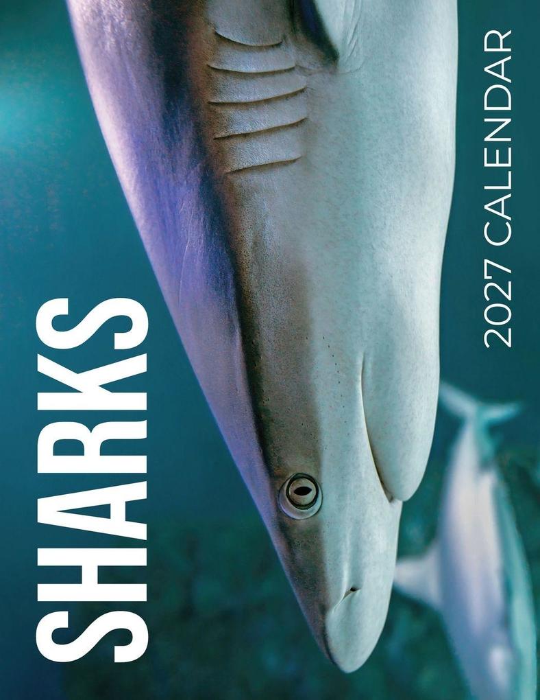 Sharks 2027 Calendar