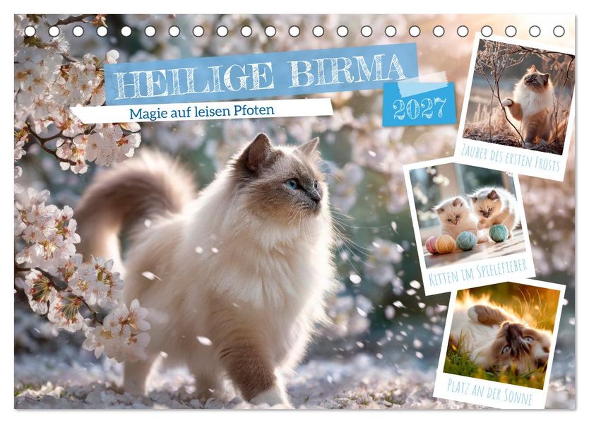 Heilige Birma - Magie auf leisen Pfoten (Tischkalender 2027 DIN A5 quer) CALVENDO Monatskalender
