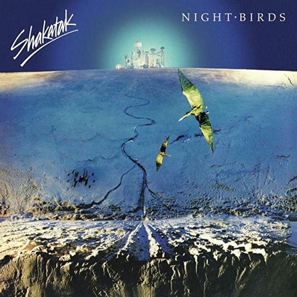 Night Birds1 Schallplatte (Remastered)