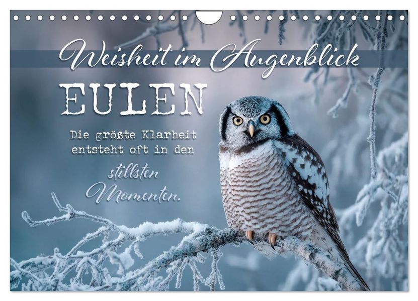 Eulen - Weisheit im Augenblick (Wandkalender 2027 DIN A4 quer) CALVENDO Monatskalender