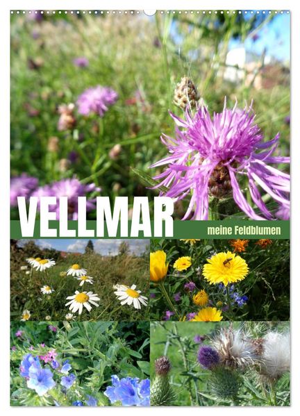 Vellmar meine Feldblumen (Wandkalender 2027 DIN A2 hoch) CALVENDO Monatskalender