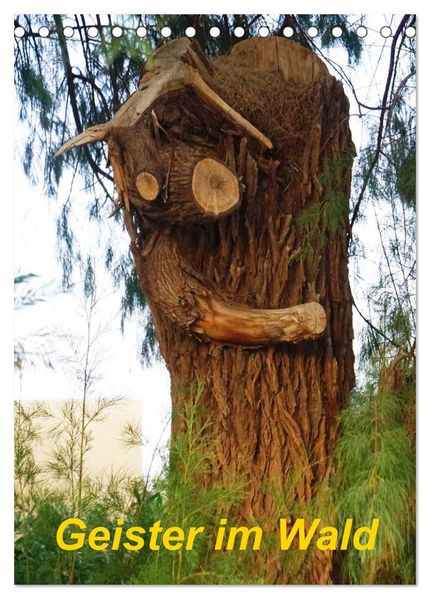 Geister im Wald 2027 (Tischkalender 2027 DIN A5 hoch) CALVENDO Monatskalender
