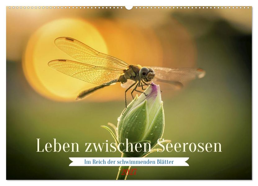 Leben zwischen Seerosen (Wandkalender 2027 DIN A2 quer) CALVENDO Monatskalender