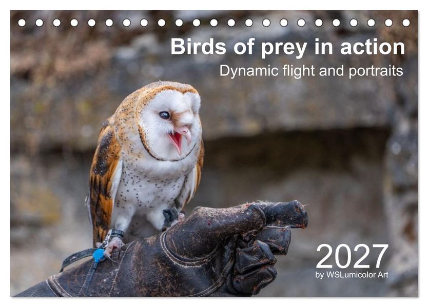 Birds of Prey in Action - Dynamic Flight and Portraits (Desk Calendar 2027 DIN A5 landscape) CALVENDO 12 Month DeskCalendar
