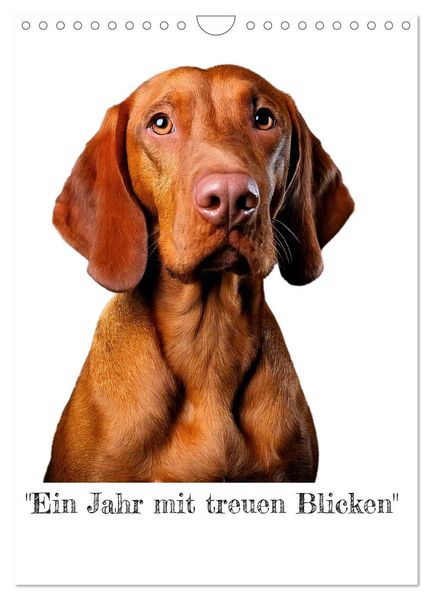 'Ein Jahr mit treuen Blicken' (Wandkalender 2027 DIN A4 hoch) CALVENDO Monatskalender