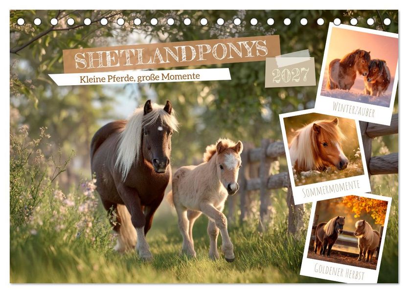 Shetlandponys - Kleine Pferde große Momente (Tischkalender 2027 DIN A5 quer) CALVENDO Monatskalender