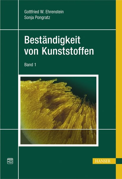 Beständigkeit von Kunststoffen - Gottfried Wilhelm Ehrenstein/ Sonja Pongratz
