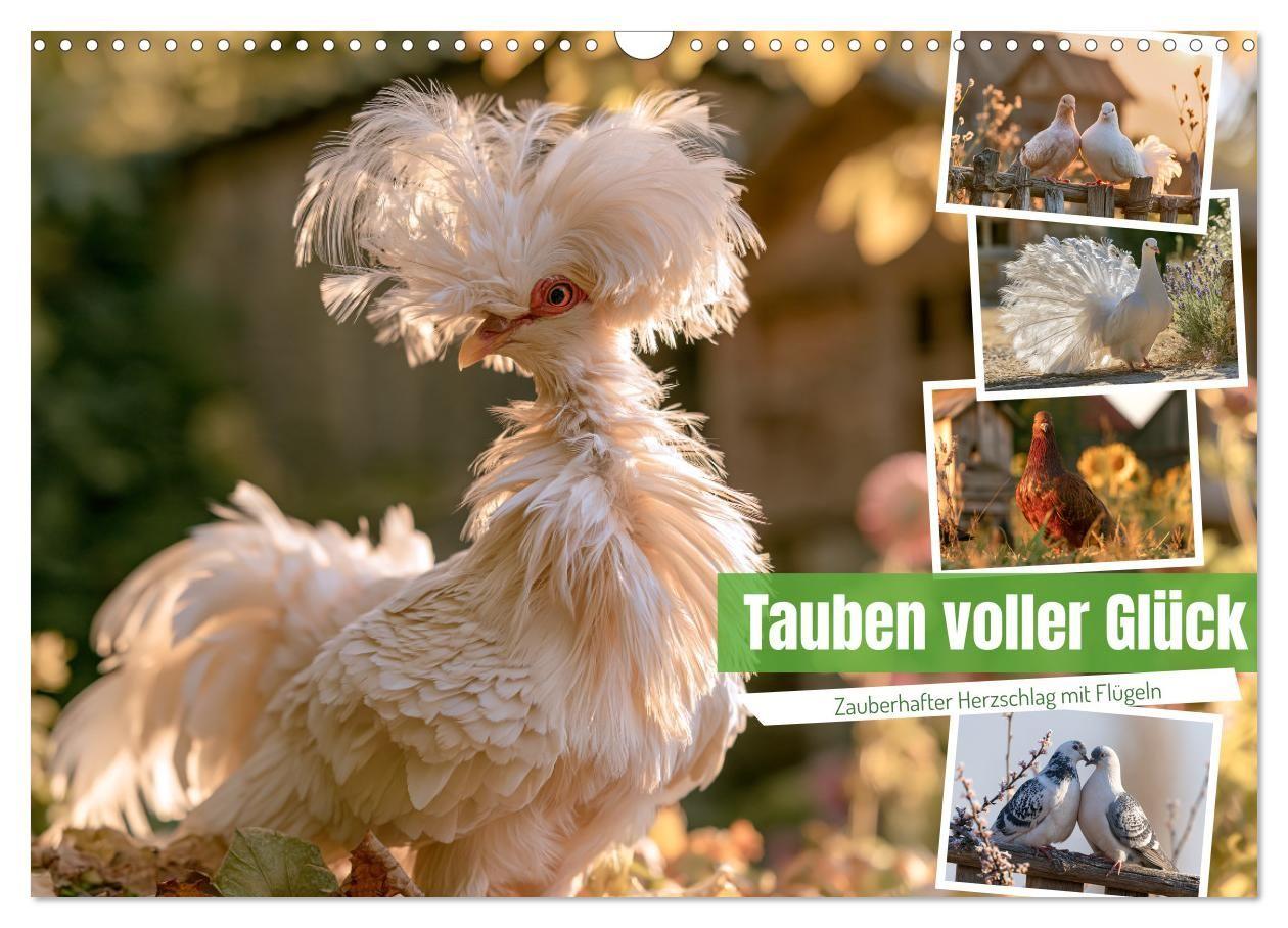 Tauben voller Glück (Wandkalender 2027 DIN A3 quer) CALVENDO Monatskalender