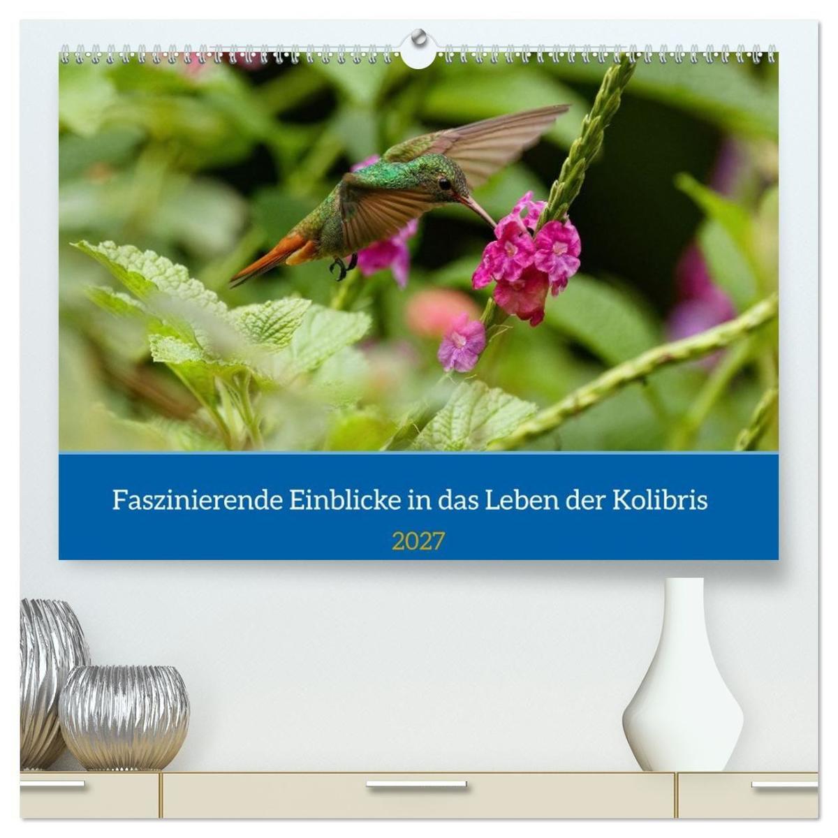 Faszinierende Einblicke in das Leben der Kolibris (hochwertiger Premium Wandkalender 2027 DIN A2 quer) Kunstdruck in Hochglanz