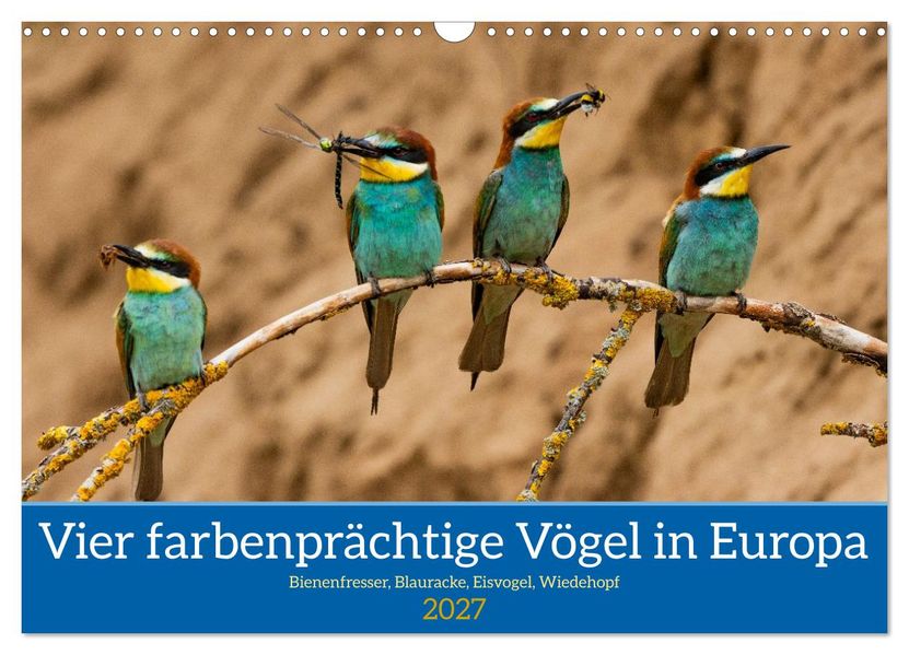Vier farbenprächtige Vögel in Europa (Wandkalender 2027 DIN A3 quer) CALVENDO Monatskalender