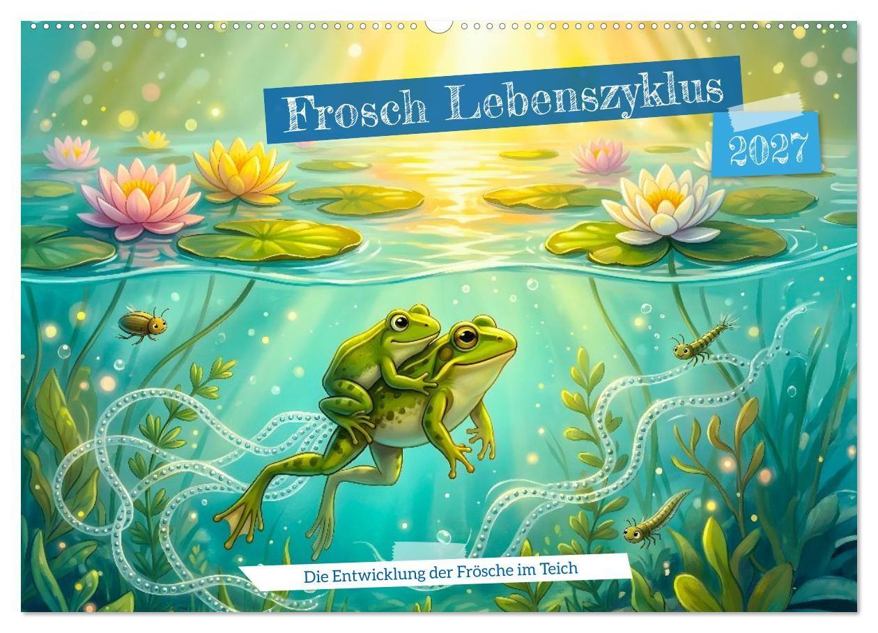 Frosch Lebenszyklus - Die Entwicklung der Frösche im Teich (Wandkalender 2027 DIN A2 quer) CALVENDO Monatskalender