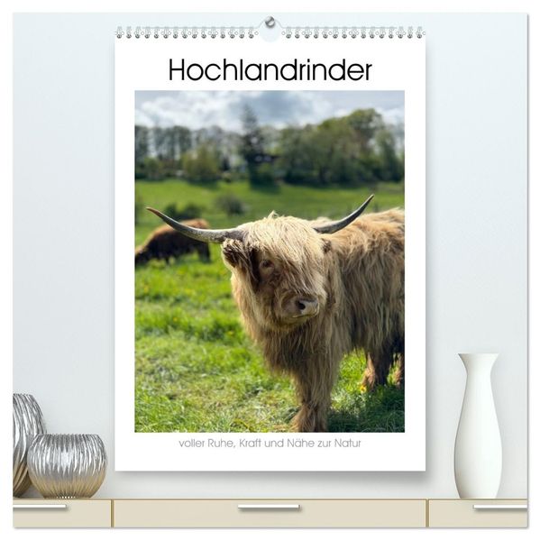 Hochlandrinder mit Herz und Charakter (hochwertiger Premium Wandkalender 2027 DIN A2 hoch) Kunstdruck in Hochglanz