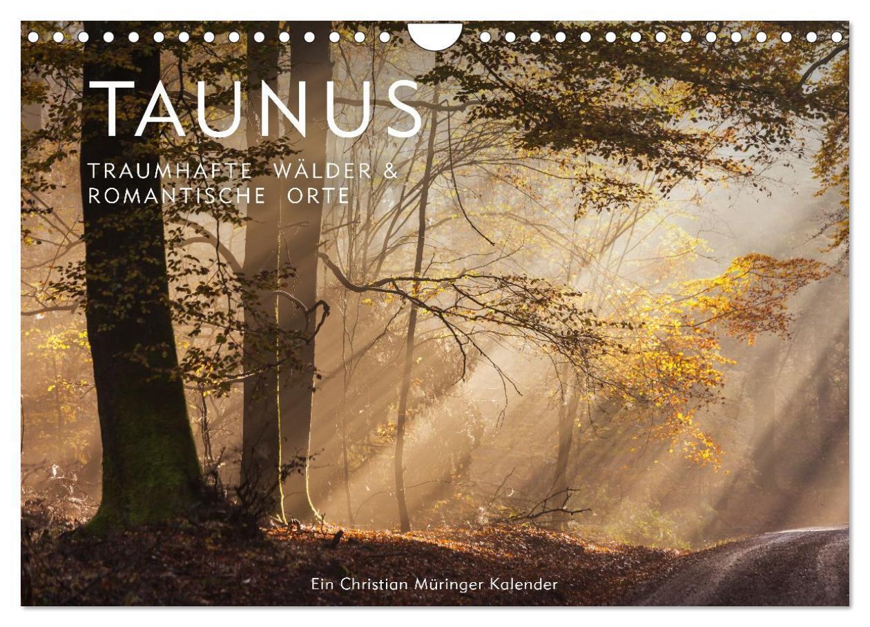 Taunus - Traumhafte Wälder und romantische Orte (Wandkalender 2027 DIN A4 quer) CALVENDO Monatskalender