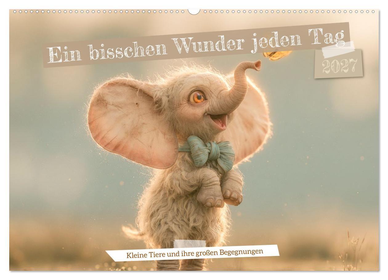 Ein bisschen Wunder jeden Tag (Wandkalender 2027 DIN A2 quer) CALVENDO Monatskalender