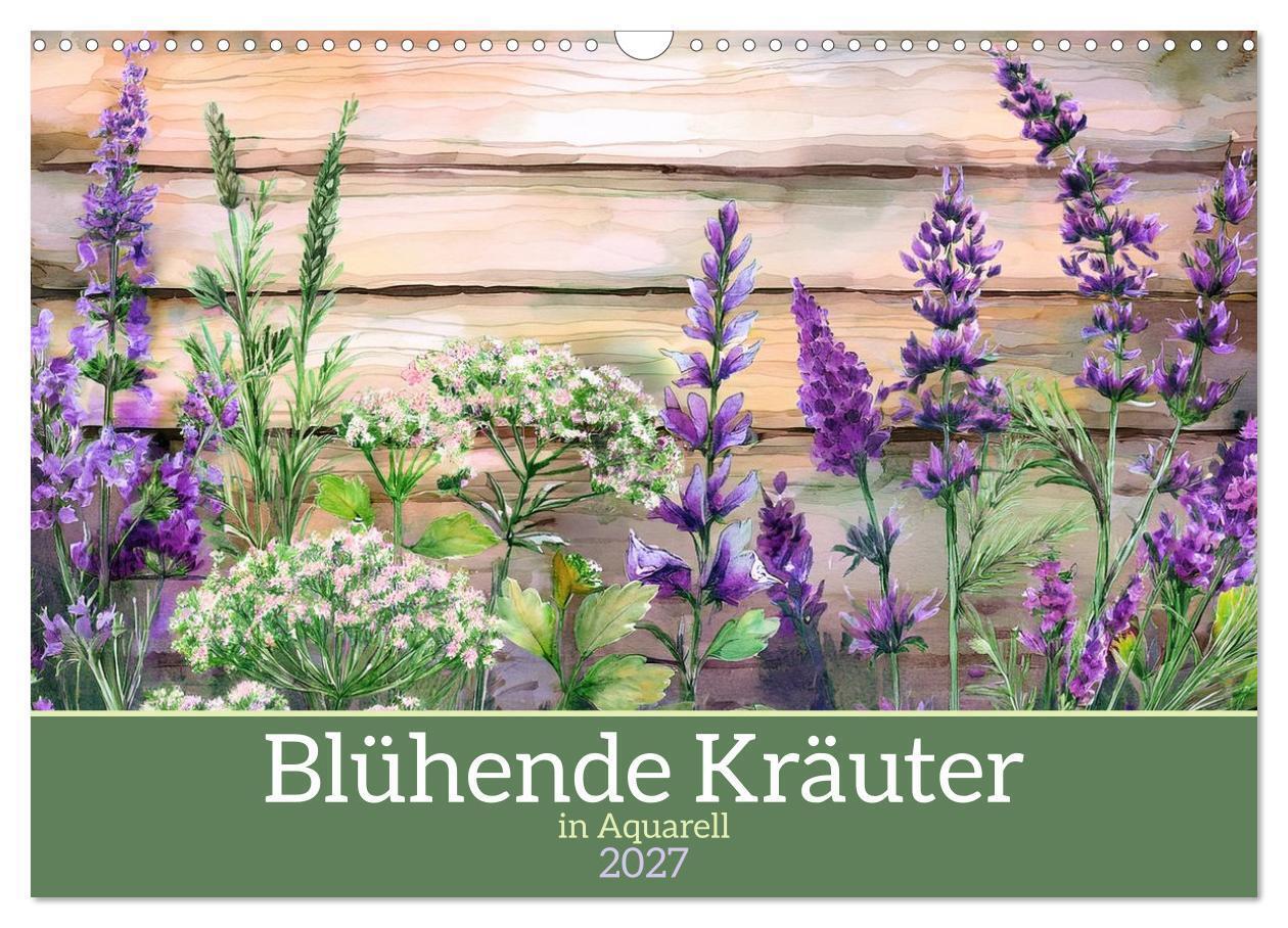 Blühende Kräuter in Aquarell (Wandkalender 2027 DIN A3 quer) CALVENDO Monatskalender