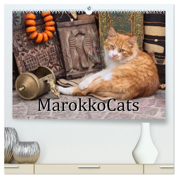 MarokkoCats (hochwertiger Premium Wandkalender 2027 DIN A2 quer) Kunstdruck in Hochglanz