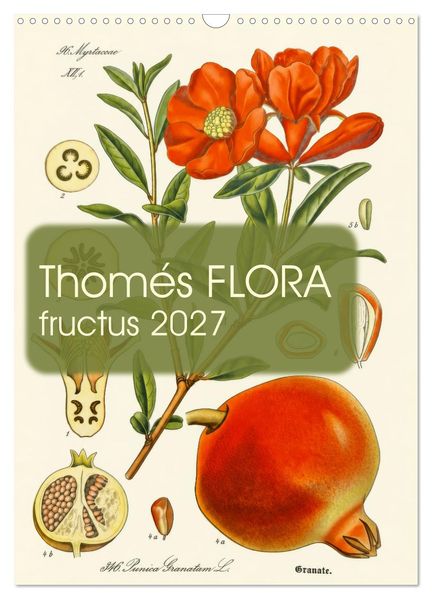 Thomés FLORA · fructus 2027 (Wandkalender 2027 DIN A3 hoch) CALVENDO Monatskalender